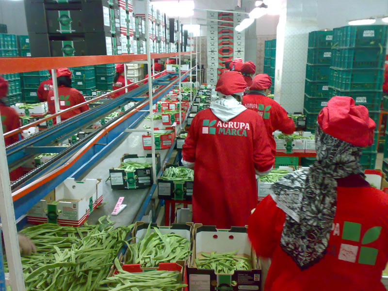 03042009654 - Agrupa Marca