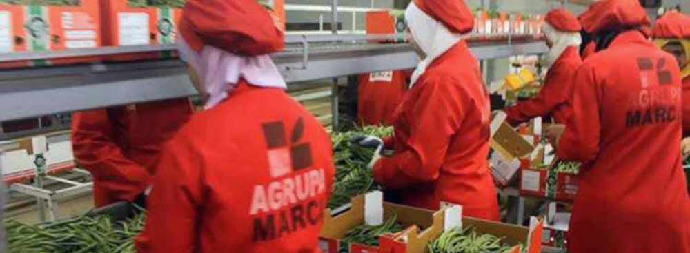 10901392 1544205505859433 2055907356 O - Agrupa Marca