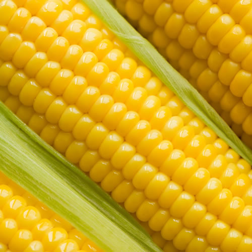 Corn - Agrupa Marca