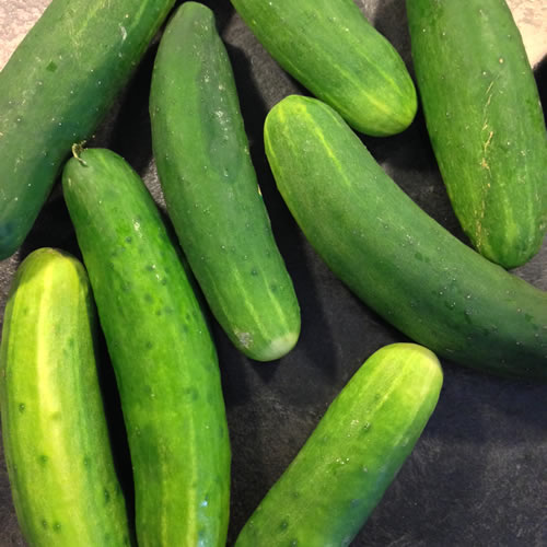 Cucumber - Agrupa Marca