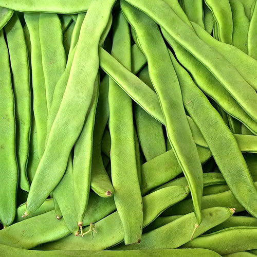 Flat Beans - Agrupa Marca