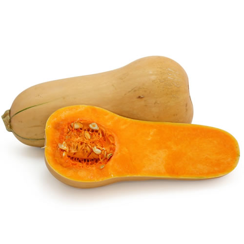 Squash - Agrupa Marca